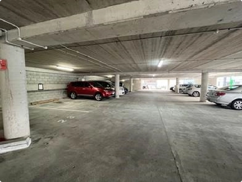 8 Church Street (Wellington Central)